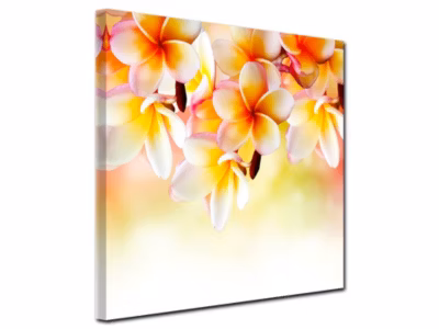 DECLINA, Tableau toile imprimée, Tableau déco toile fleurs Frangipanier, 30×30 cm