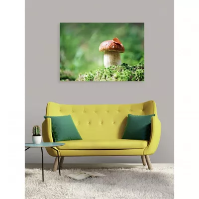 Tableau toile XXL en kit Cèpe Ou Bolet 130 x 90 cm – Toile textile sans PVC