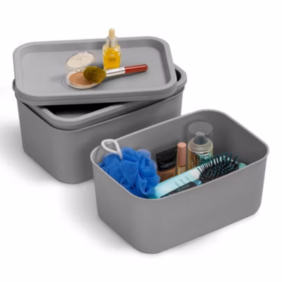 Iris Ohyama, Boites de Rangement dressing plastique, 6L, Lot de 3, Gris, SNL-S