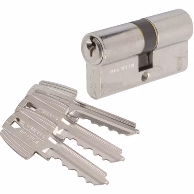 Cylindre 2 entrées varié nickelé – 50 x 40 mm – TE5 – Tesa