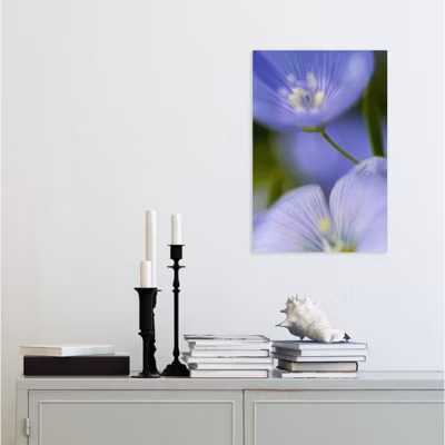 Tableau verre acrylique Majorelle fleurs bleues 40 x 60 cm – Décoration murale photo pour la maison