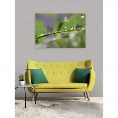 Tableau verre acrylique Tribu 130 x 90 cm – Décoration murale photo pour la maison