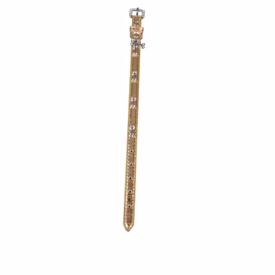 Collier pour chien brillant avec strass et motifs os petite taille