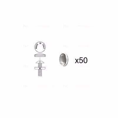 1 Kit composés de 50 cache-vis nickel brillant