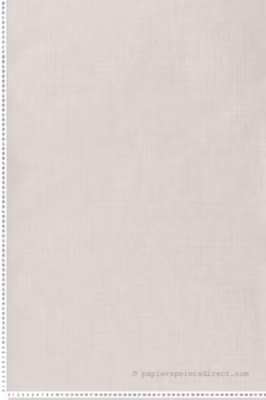 Papier peint vinyle sur intissé Uni L.10.05 x l.0.53 m.  – Réf. LTC-51174917