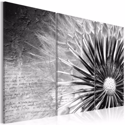 Tableau Fleurs pissenlit (noir et blanc) 60×40 cm